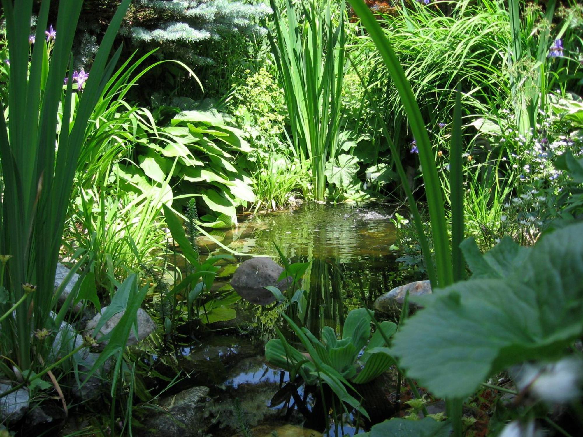 Naturkraeuterhaus Eder Iselsberg Luaran gambar